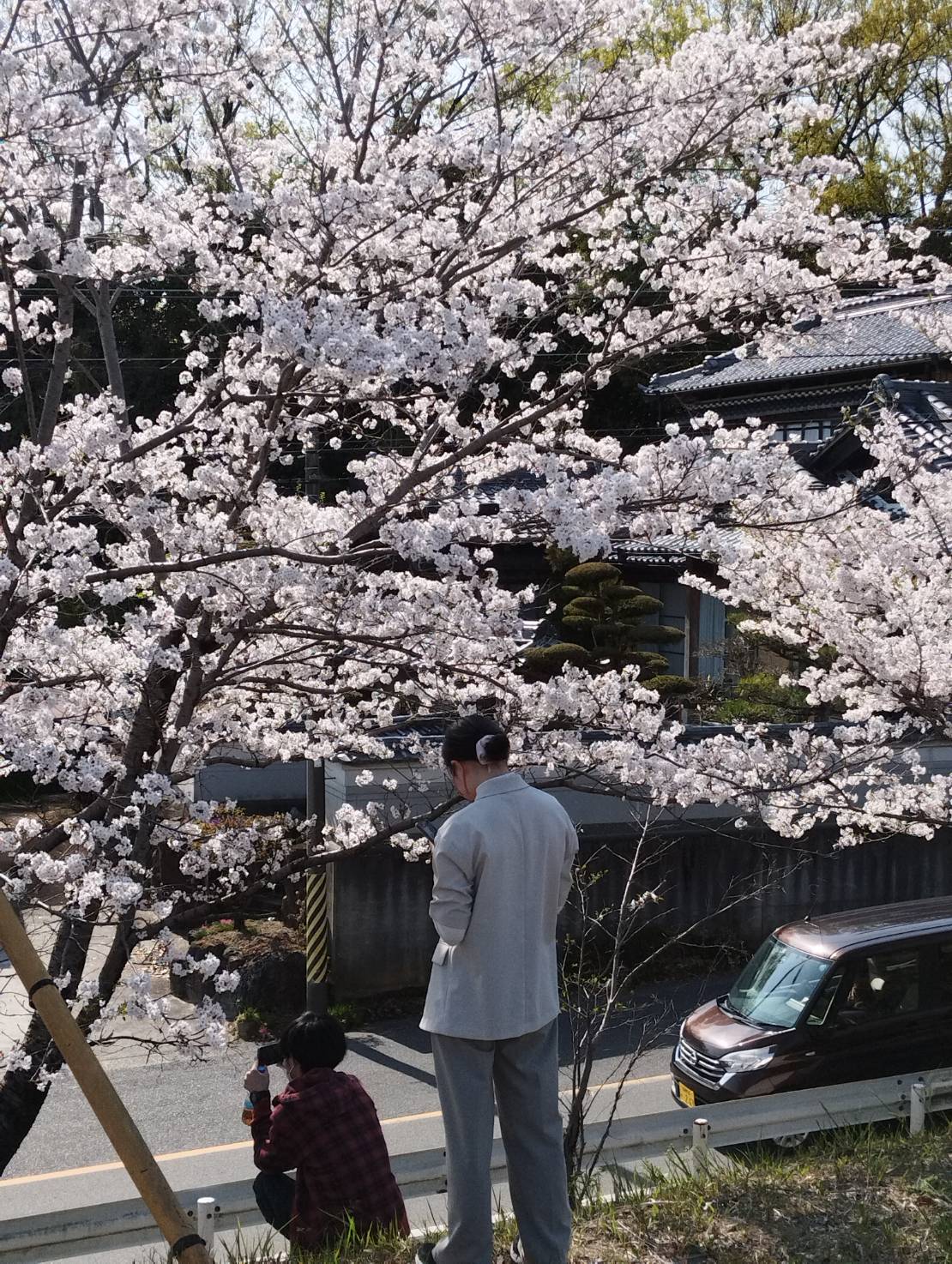 ff-66c916223e33dc5595b3e387553a8c81-ff-566967208383610898