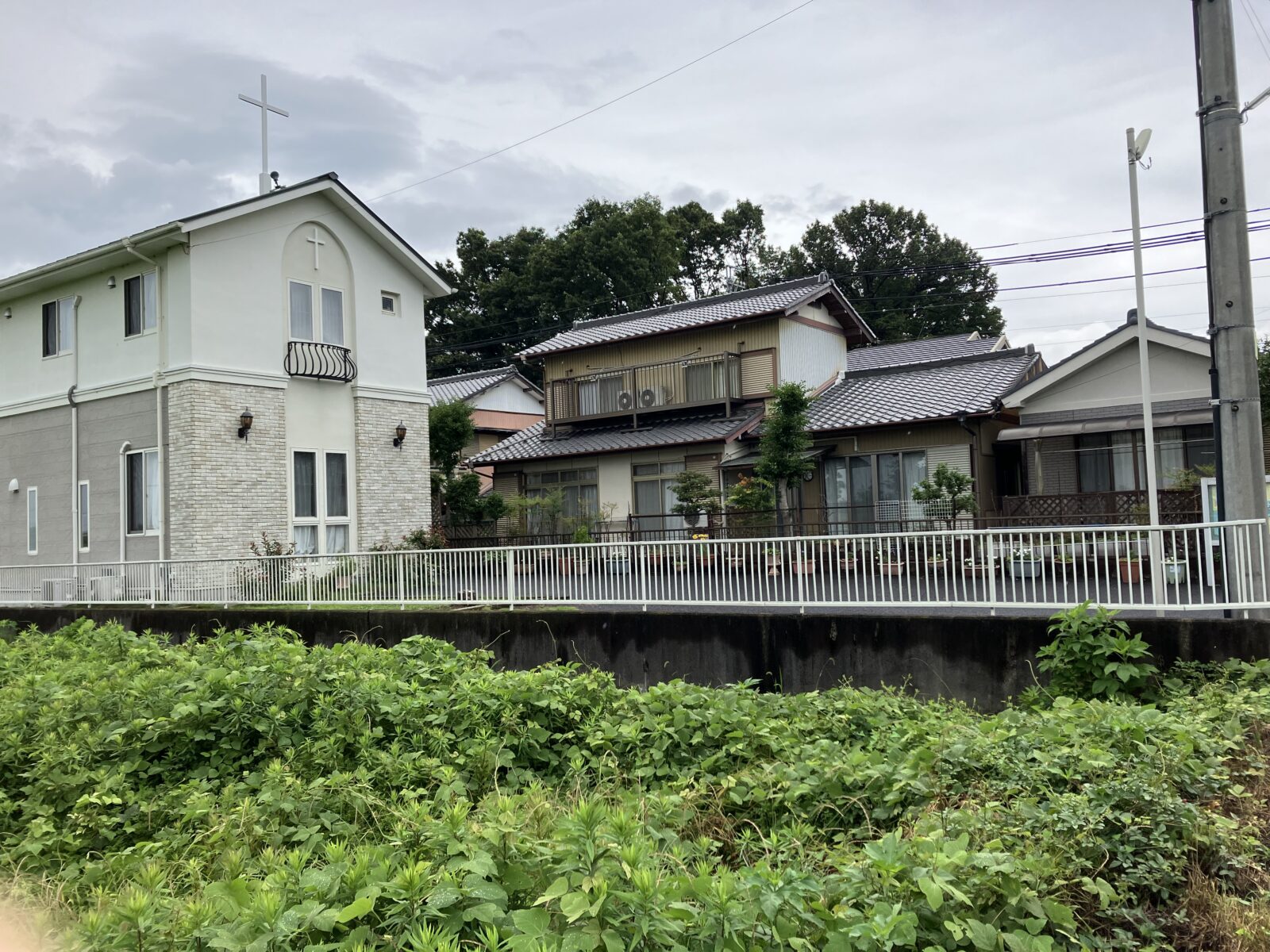 ff-e75be35f113332d5b2a780d3b90dd117-ff-IMG_0152